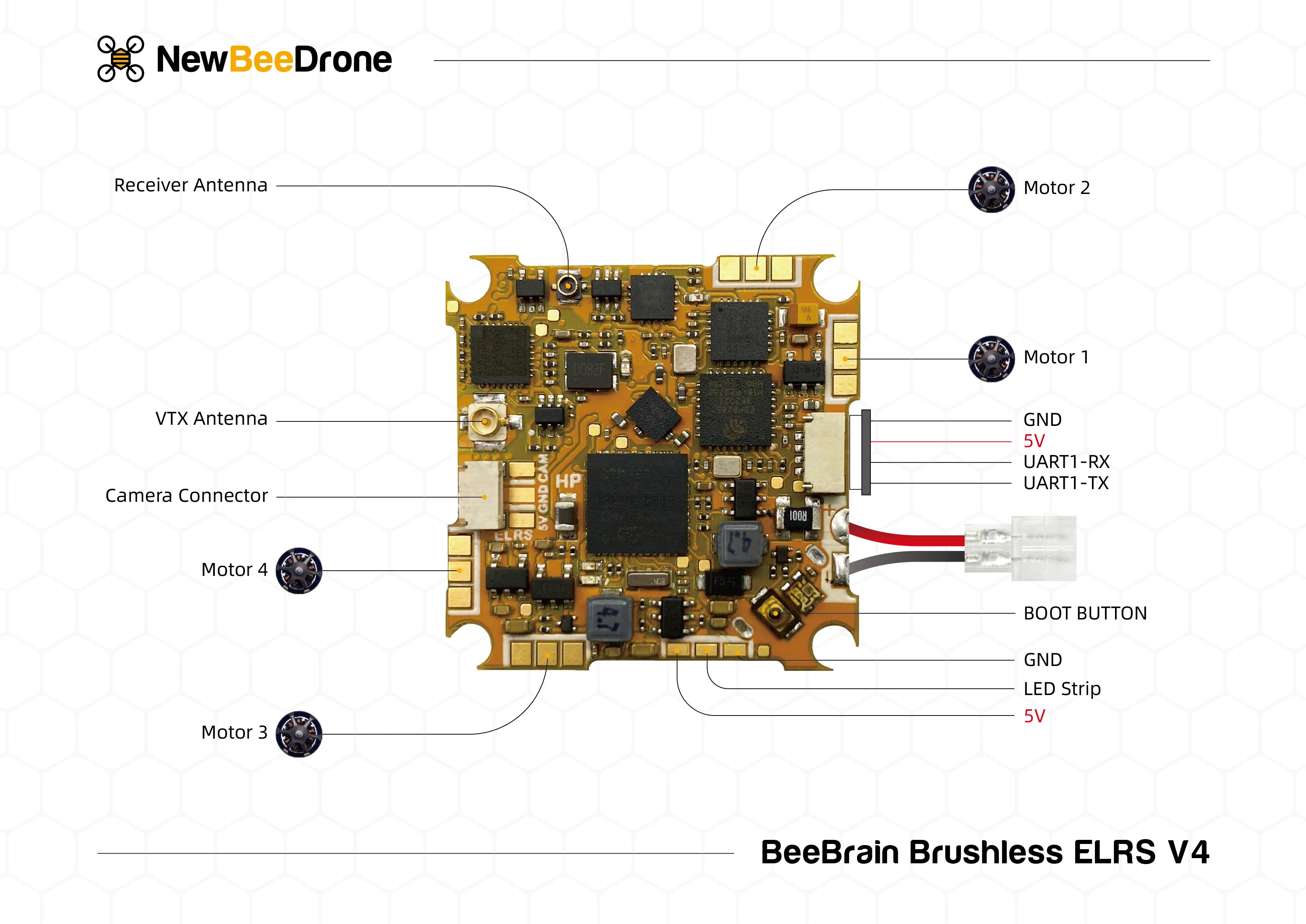 Newbeedrone BeeBrain BLV4 AIO ExpressLRS Flight Controller