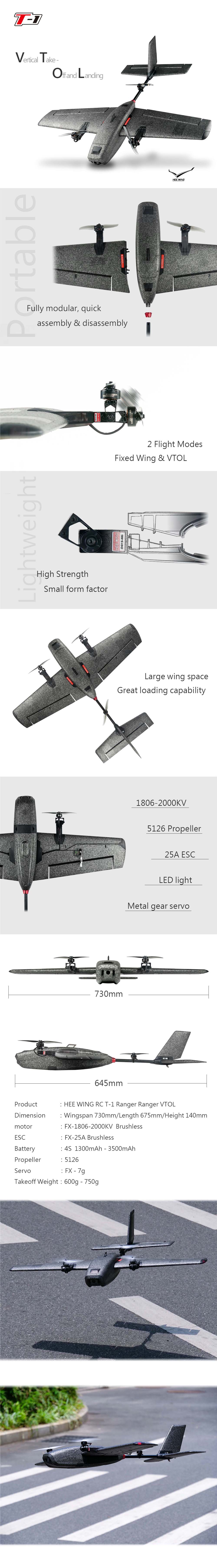 Heewing Ranger T1 VTOL PNP