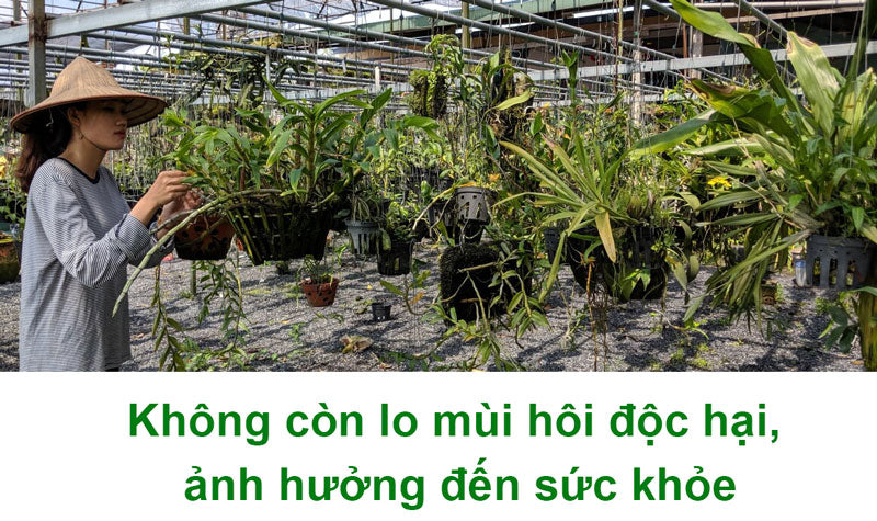 phan-bon-cho-hoa-lan