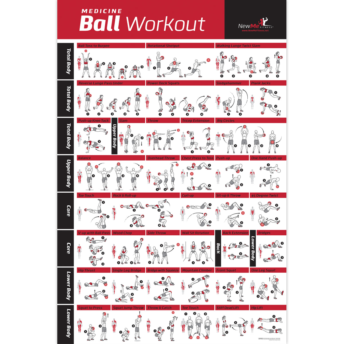 Medicine Ball Exercise Poster - Laminated - 20"x30 ...