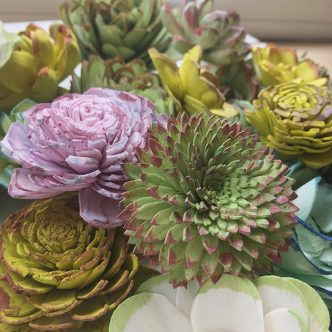 Sola Wood Flower Succulent 