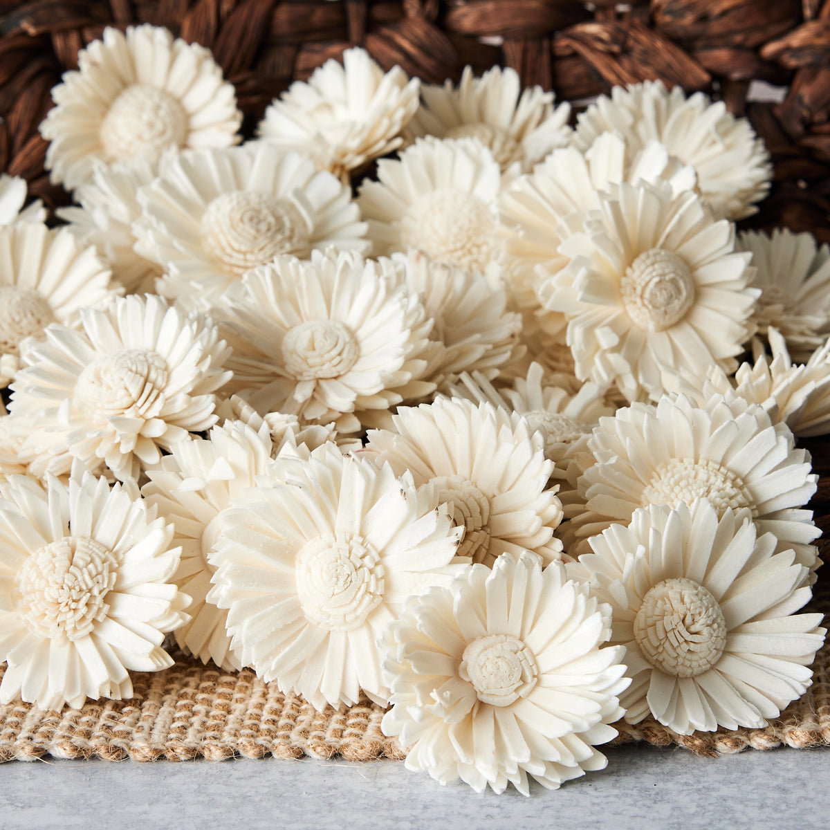 Daisy- Sold Wood Flower- sold by the dozen - Oh! You're Lovely