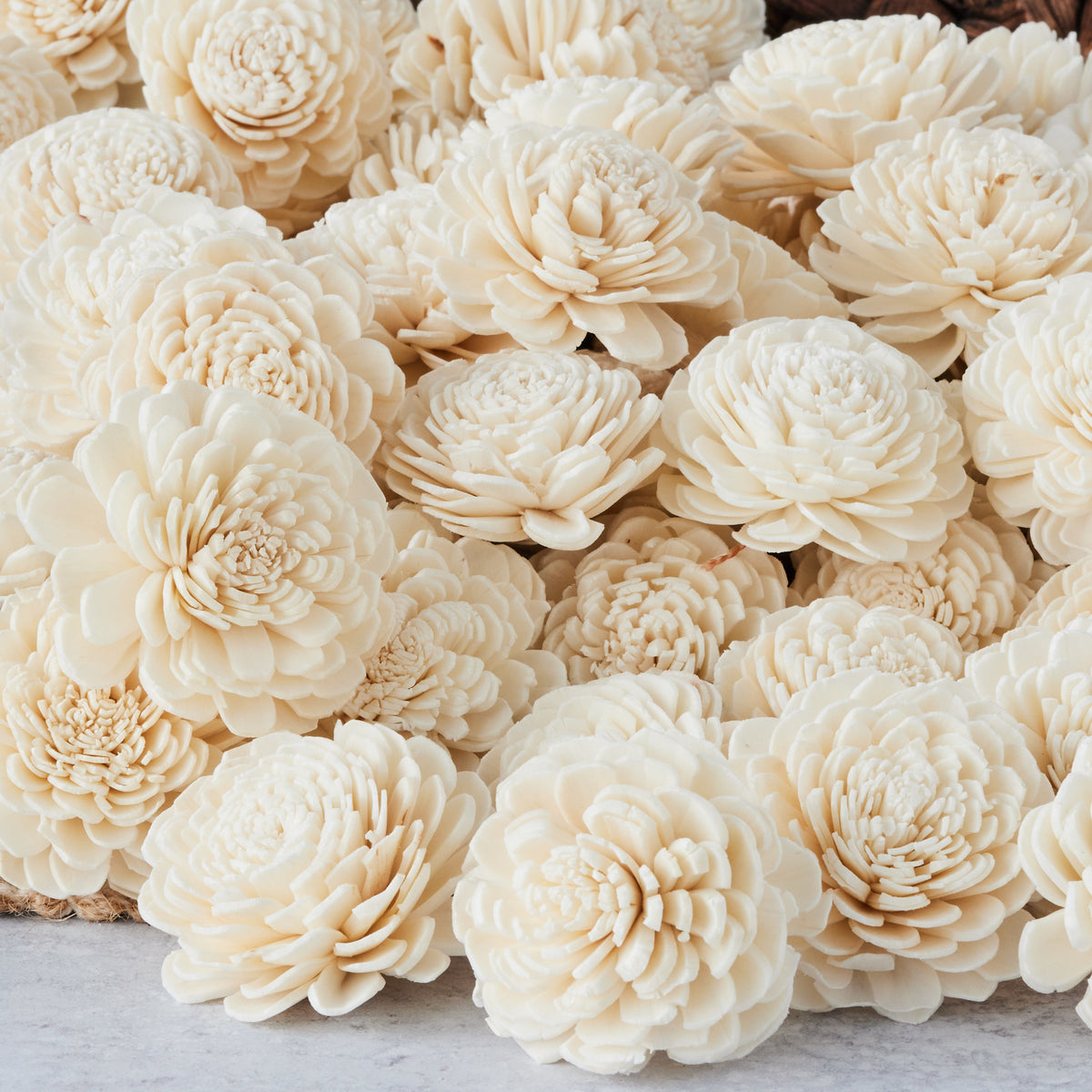 Sola Wood Flowers Bulk - Carnation - Oh! You're Lovely - Sola Wood Flowers