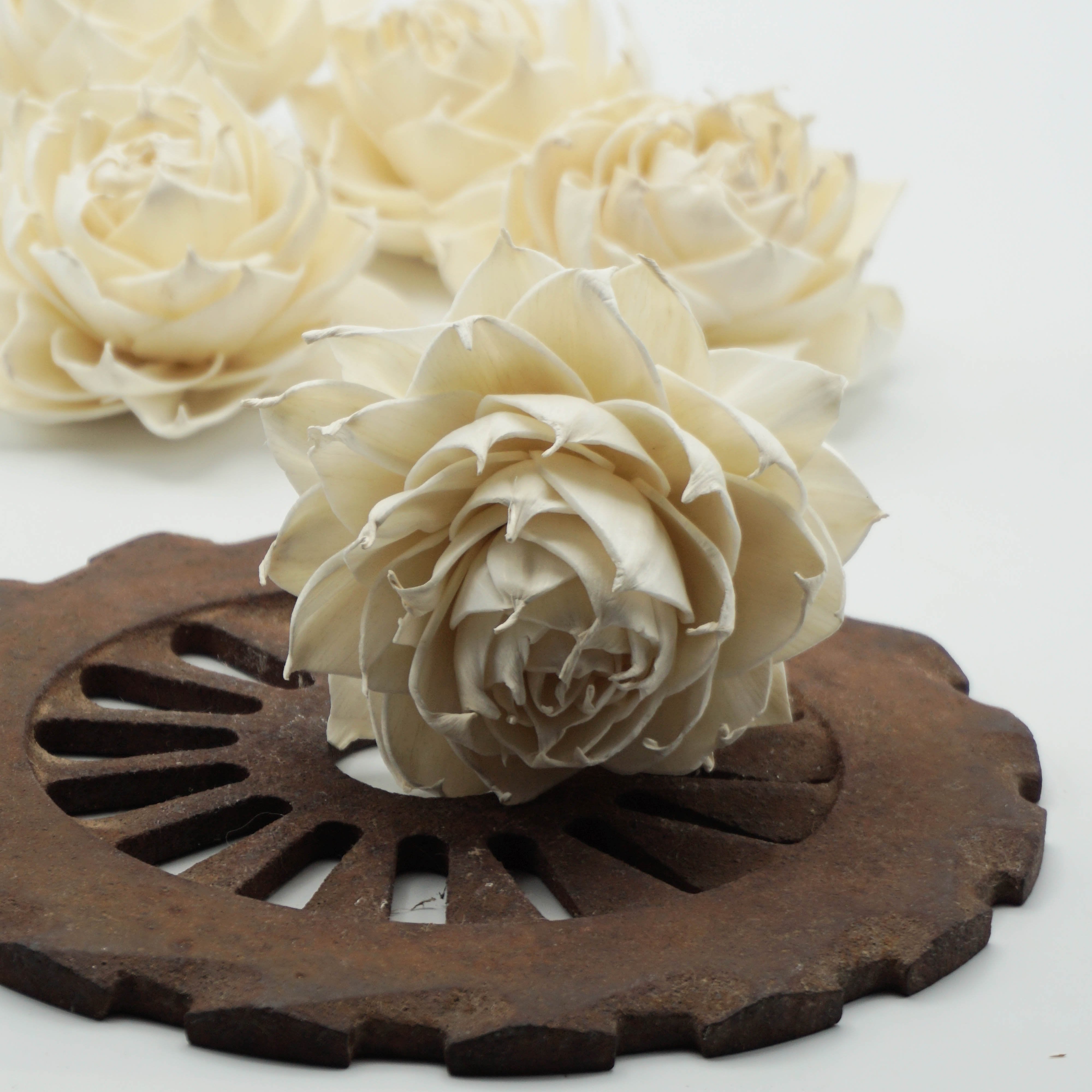 Cabbage Rose - Sola Wood Flowers - sold by the dozen - Oh! You're