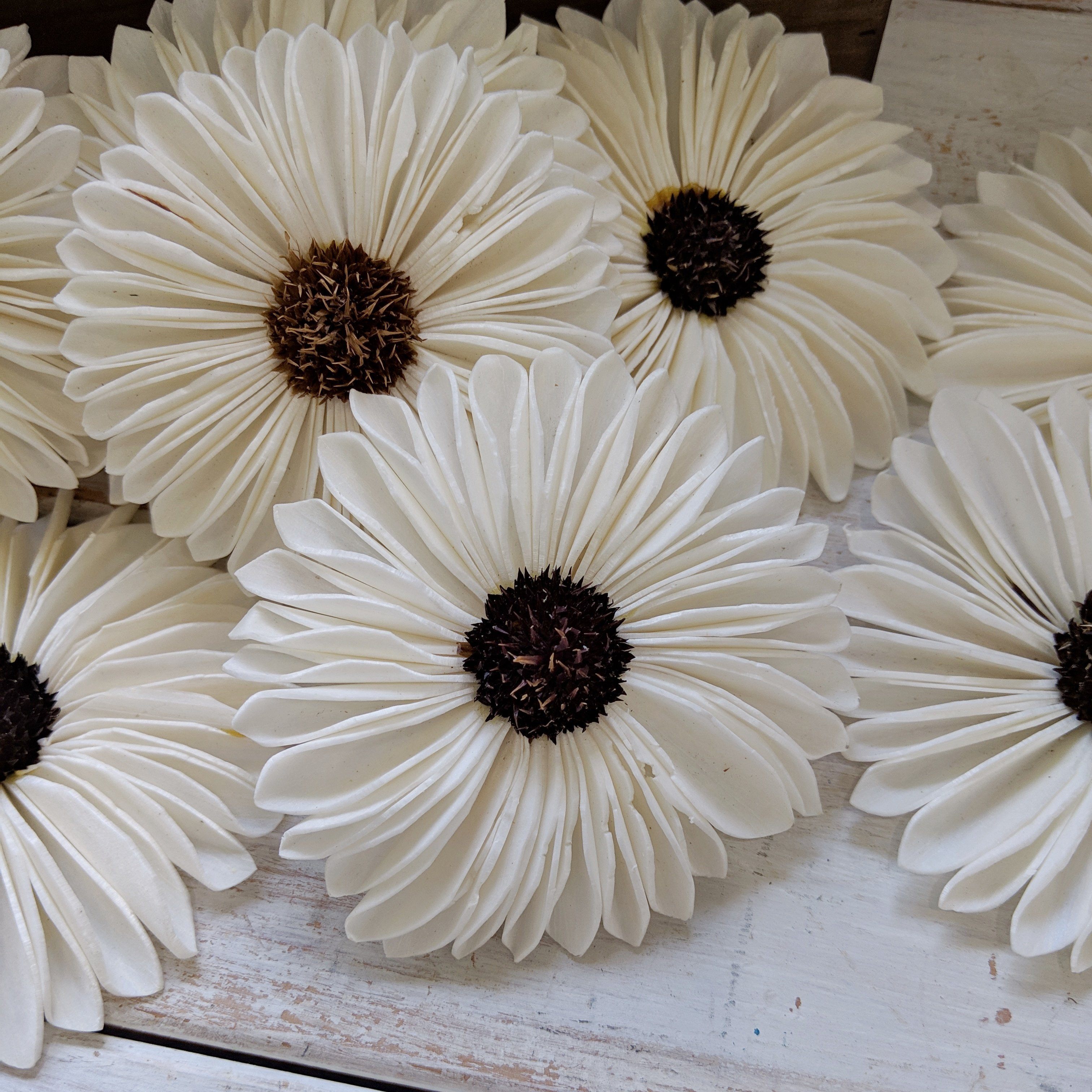 Gerbera Daisy- sola wood flower - sets of 12 | Oh You're Lovely
