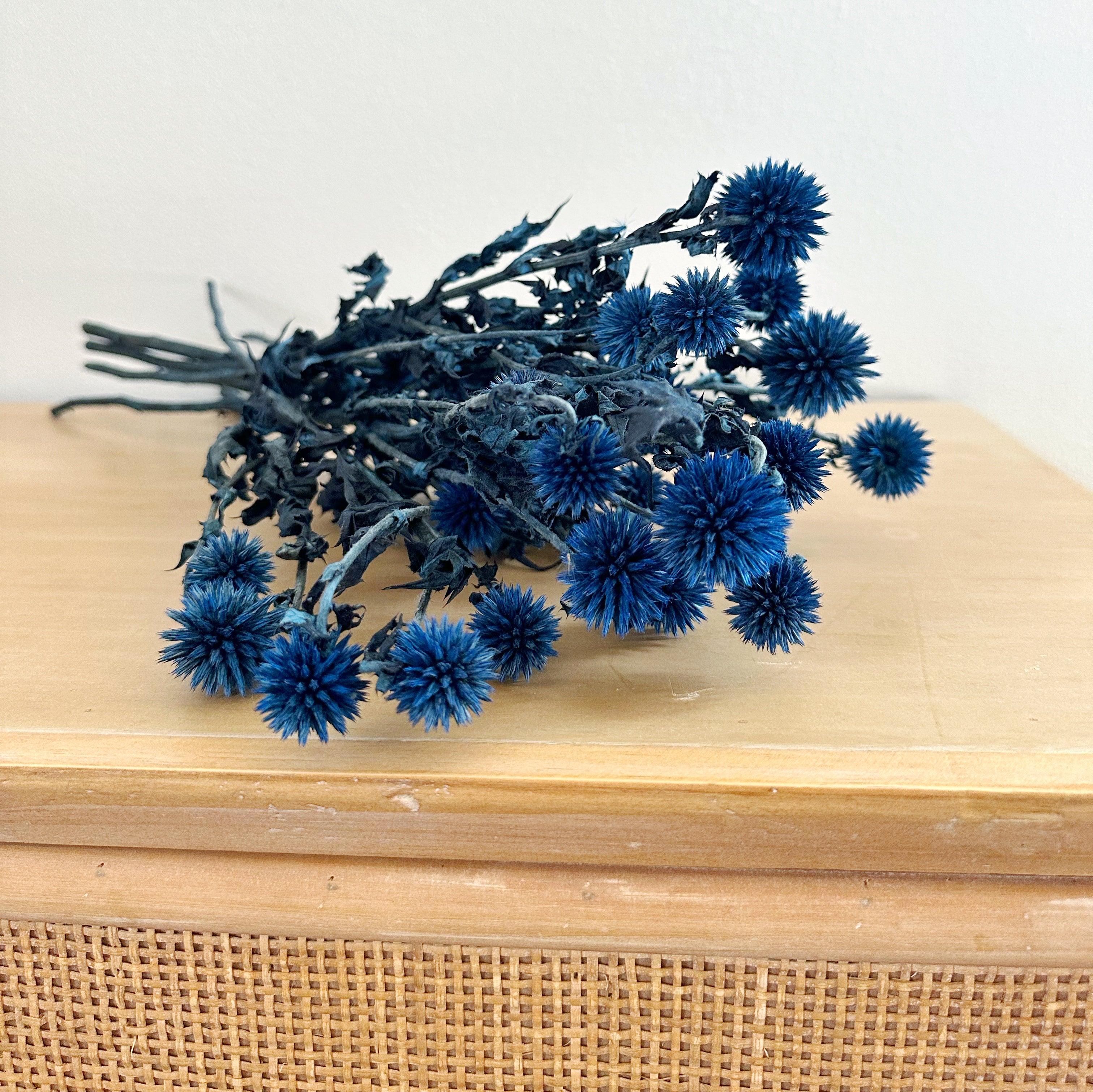 Blue Dried Echinops Globe Thistles Dried Flowers