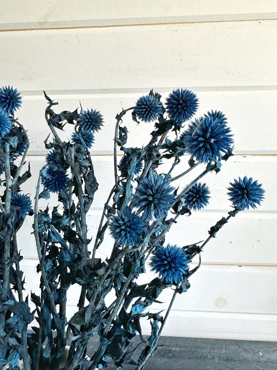 Set of 15 Dried Flowers in a Glass Bottle Dried Blue Thistle 
