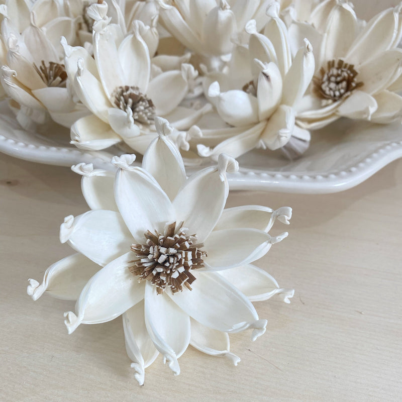 Sola Wood Flowers for DIY Weddings & Decor | Page 7 | Oh You're Lovely