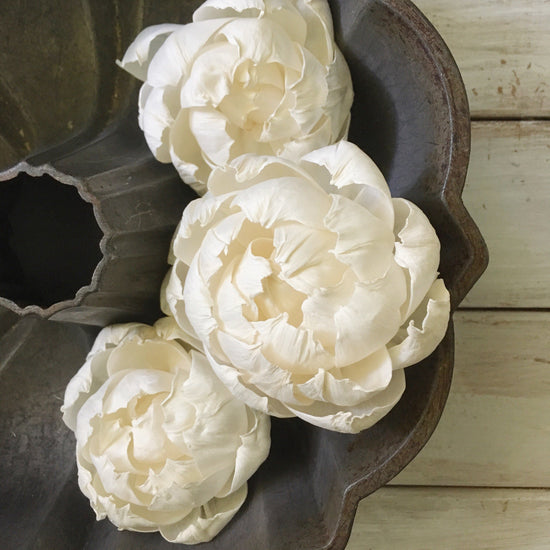 Peony #5 Molded 2-way- 40-peony.5m-40-2w