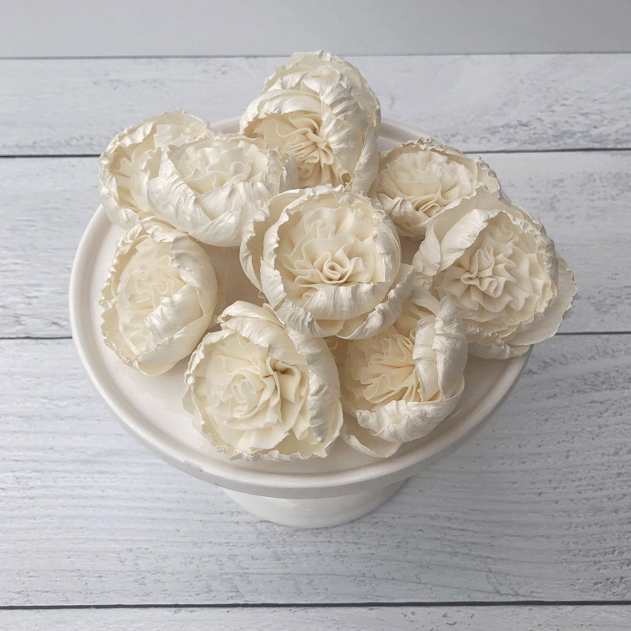 Download Petite Cottage Rose - Sola Wood Flower - Set of 12 | Oh ...