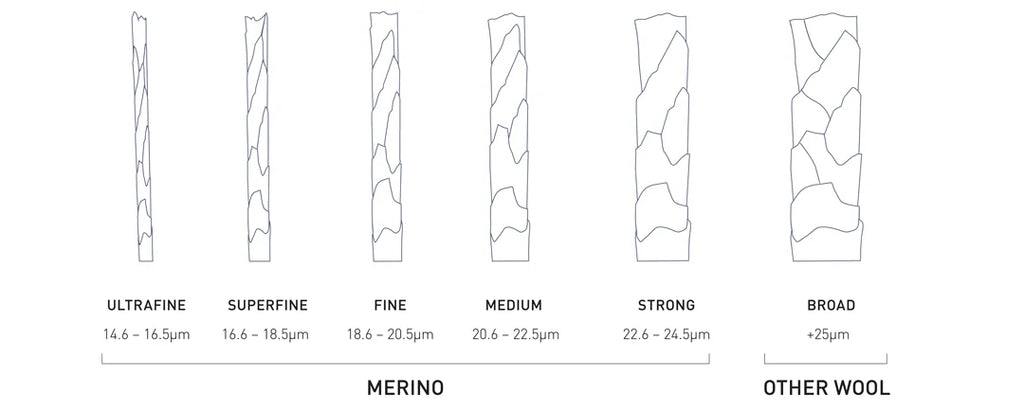 Image of Micron Measurements from Woolmark
