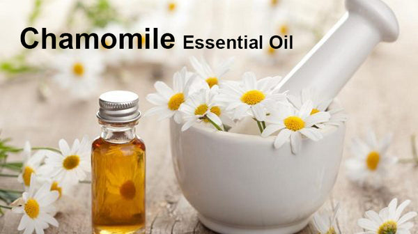 chamomile essential oil for cracked heels