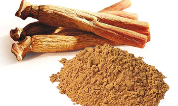 Different Forms of Korean Red Ginseng for Hair Growth_Powder_500 X 300.jpg__PID:b4fcf1a0-e247-4ff0-8ba5-f73bb0a2a6ae