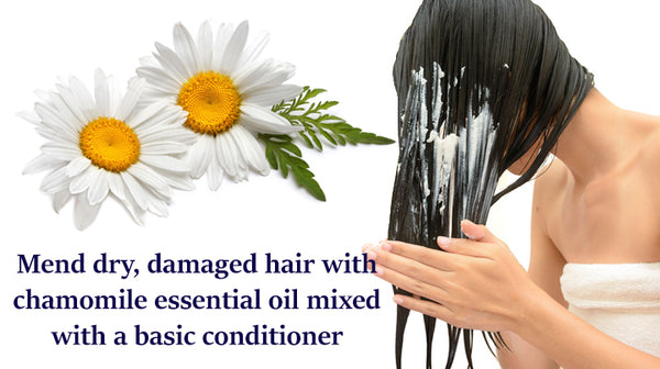 essential oil for dry hair