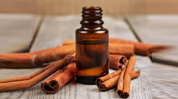 cinnamon essential oil for natural fairness