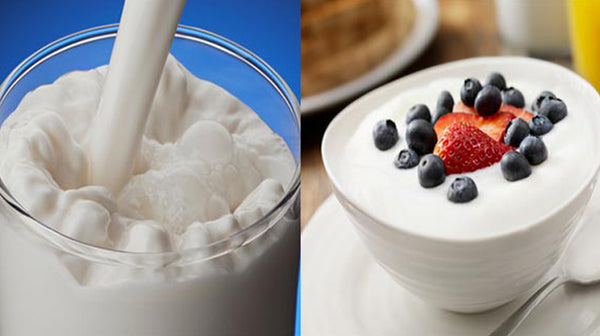 milk & dairy in diet