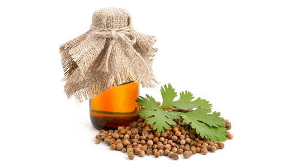 coriander oil for skin fairness