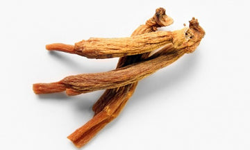 Red ginseng.jpg__PID:8ad13441-528f-4004-a94d-3adda7661b32