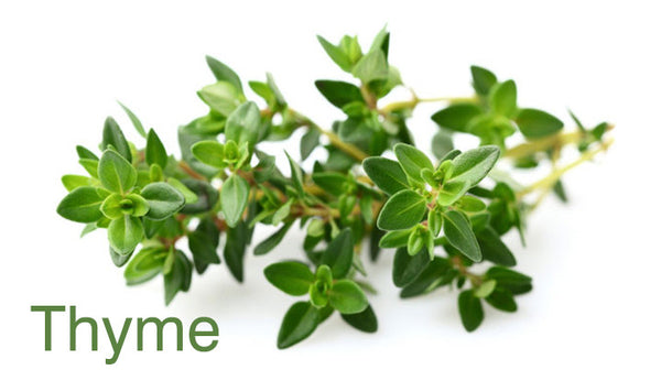 Thyme oil in hot and cold