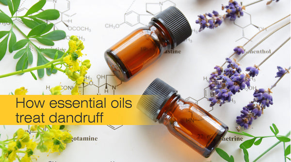 how essential oils help in treating dandruff