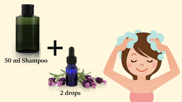 lavender essential oil use in shampoo