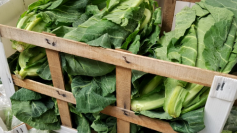 3 Reasons why Organic Food is Better for You - Locally Sourced Cabbage