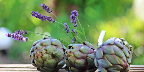 Discover why Everyone’s Talking About Gut Microbiome - Plant-Based Foods - Artichokes