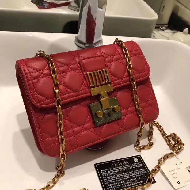 dior bag chain