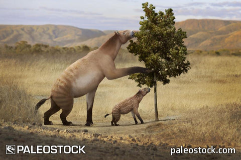 Chalicotherium stock image