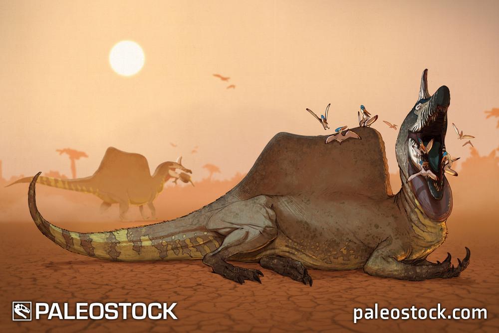 Spinosaurus aegyptiacus stock image