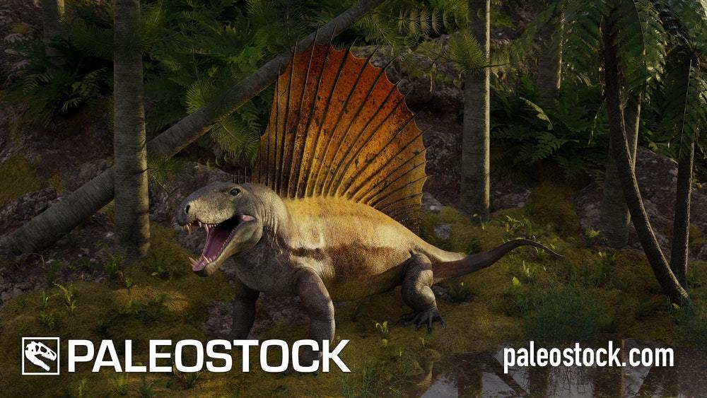 dimetrodon