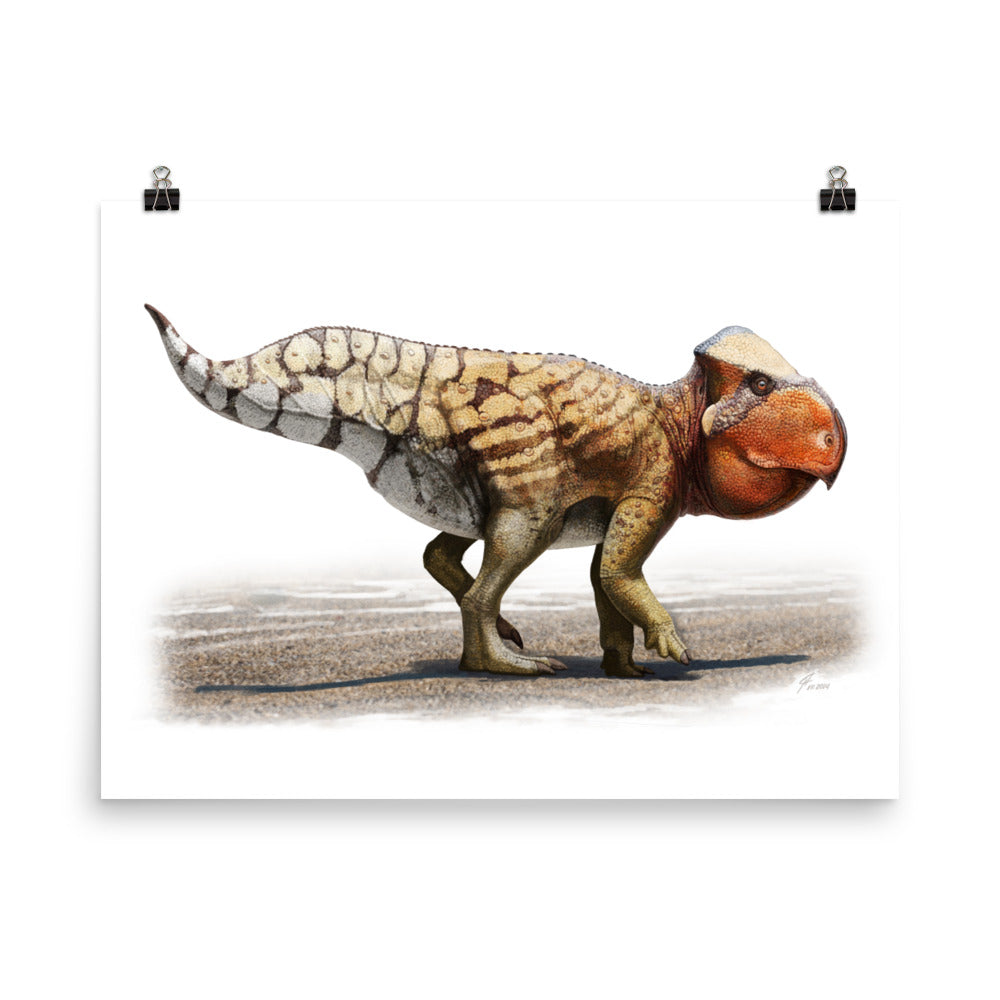 Deinocheirus mirificus ('unusual - All Things Dinosaurs