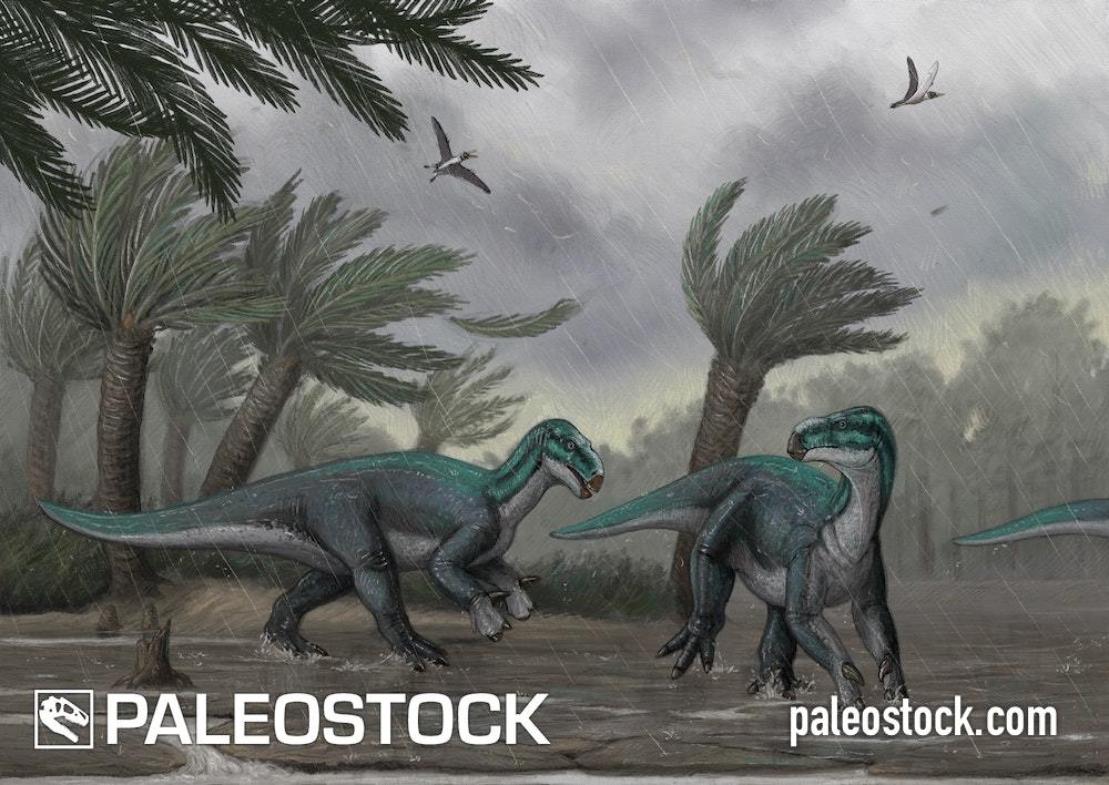 Favorite Dinosaurs poster