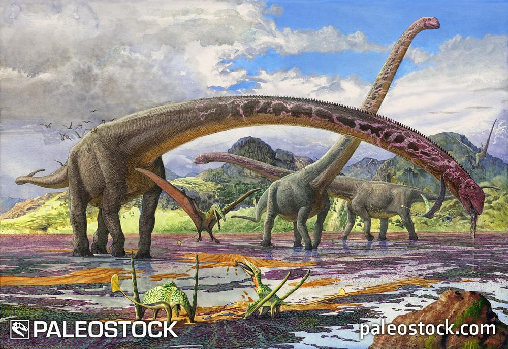 Mamenchisaurus and Sericipterus stock image