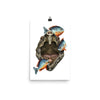Alligator snapping turtle poster