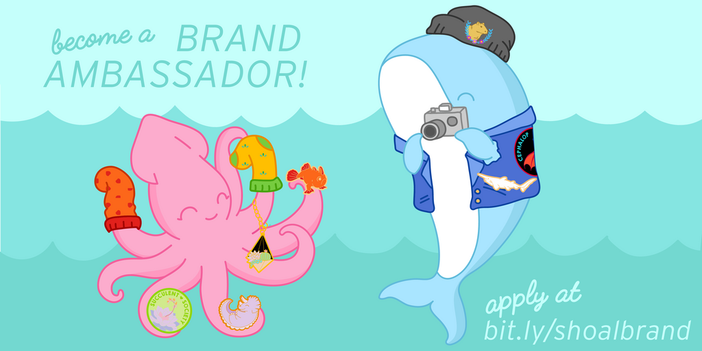 banner image featuring a squid and a whale modeling Shoal products