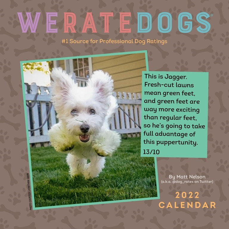 WeRateDogs 2021 Day To Day and Wall Calendars