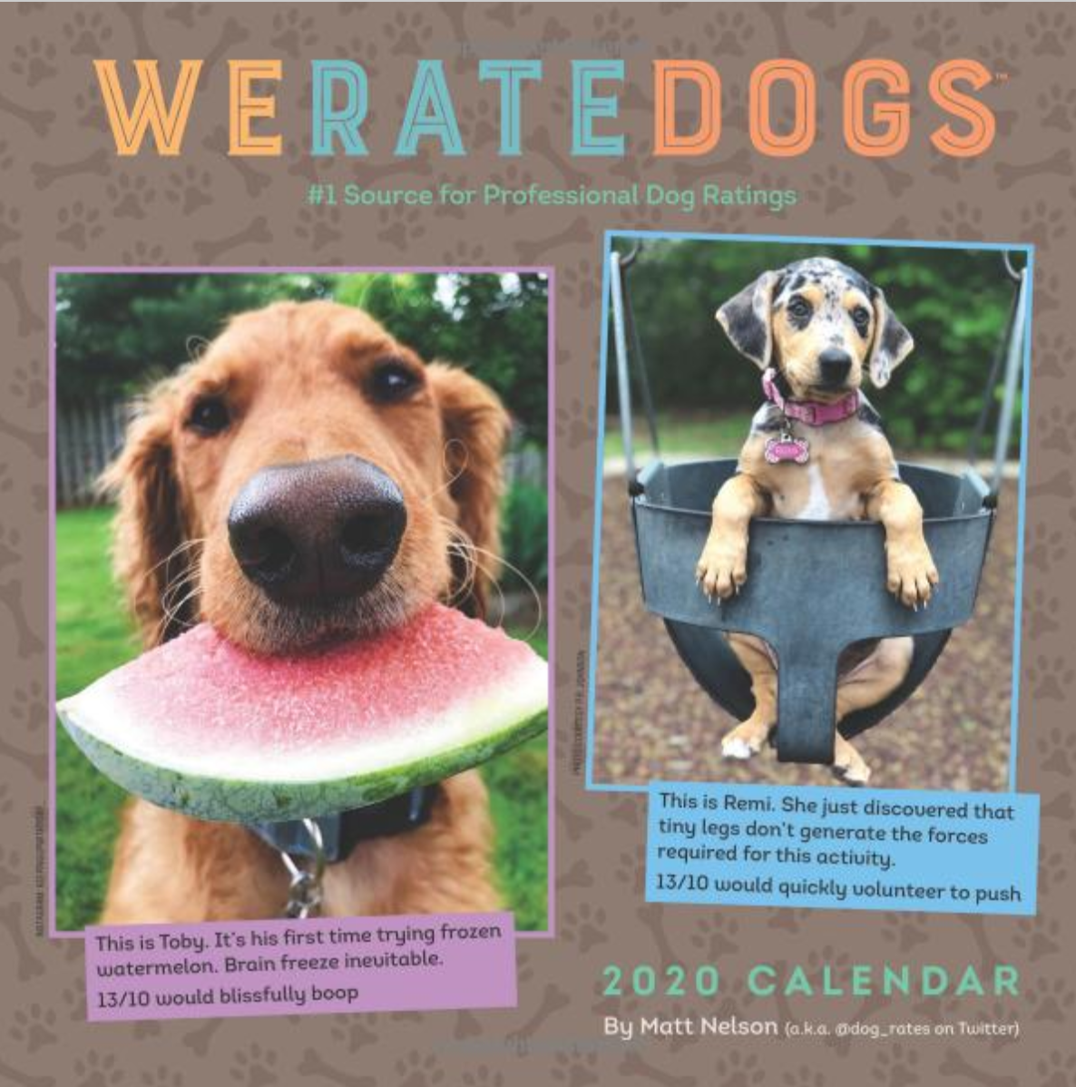 WeRateDogs 2020