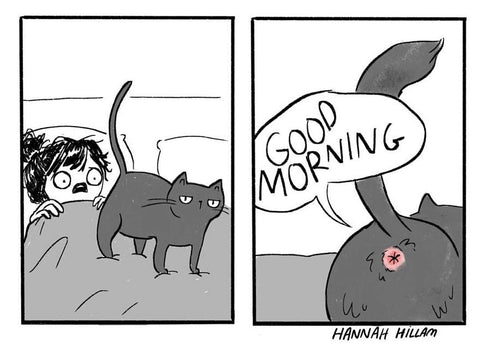 cats and butts comic