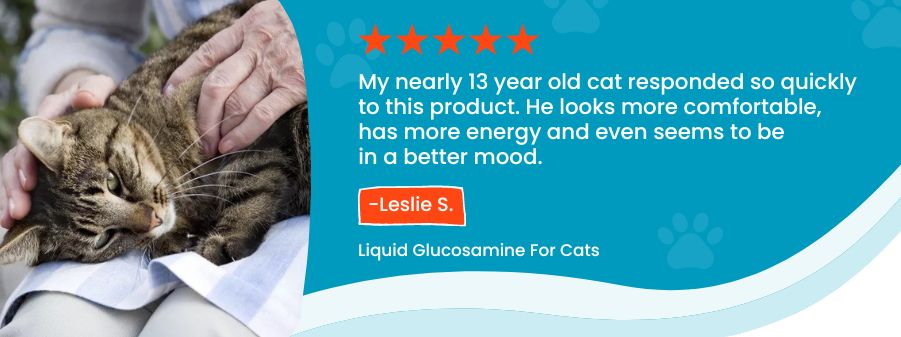 Cat on person's lap getting some love with a customer review stating, "My nearly 13 year old cat responded so quickly to this product. He looks more comfortable, has more energy and even seems to be in a better mood."