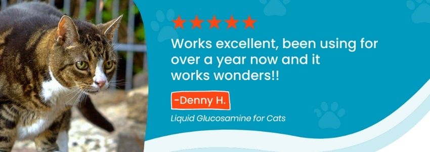 Cat playing around on rocks — Customer review from Denny H. says 'Works excellent, been using for over a year now and it works wonders!!'