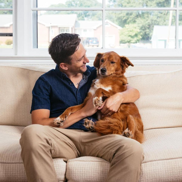 Dog getting hugged on a couch by a guy