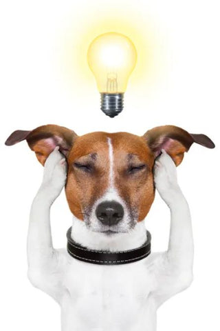 Dog with a light above its head and eyes closed thinking