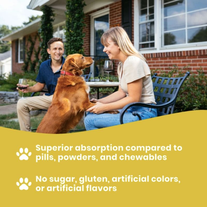 Dog with its paws up on a person as they look at each other. Paramount Pet liquid vitamins for dogs offer superior absorption compared to pills, powders, and chewables.