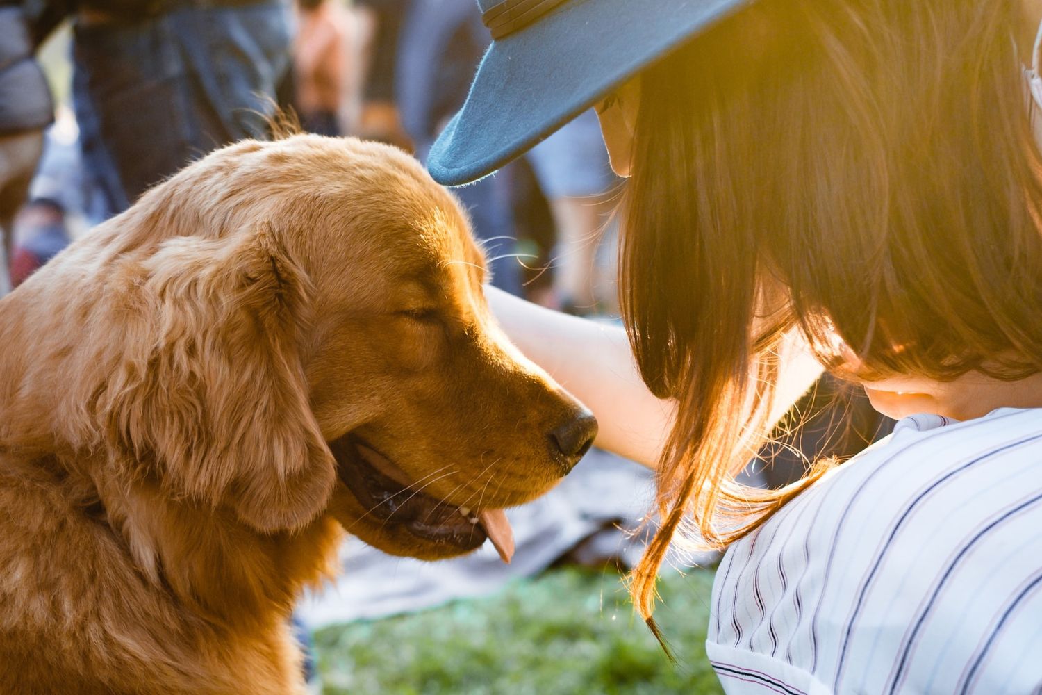 Dog with mouth open and eyes closed getting a rub from a human