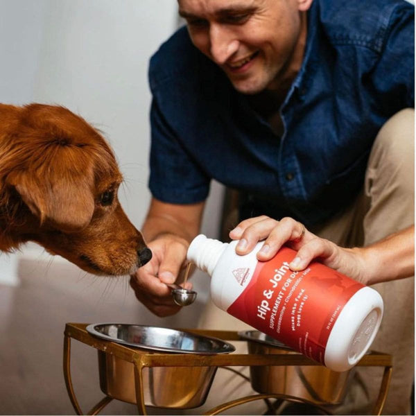 Human pouring Paramount Pet Health Glucosamine for Dogs into a bowl while the dog looks on in anticipation