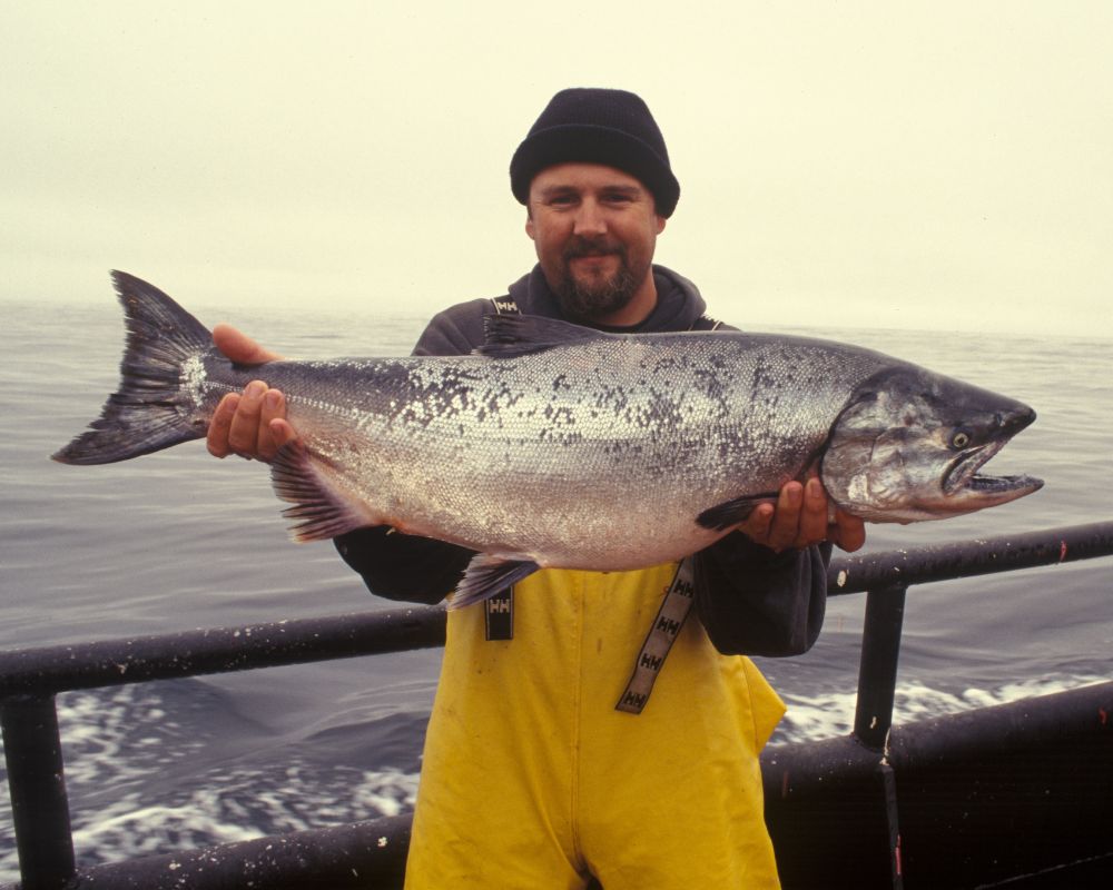 Man with a salmon in his hands on a fishing vessel