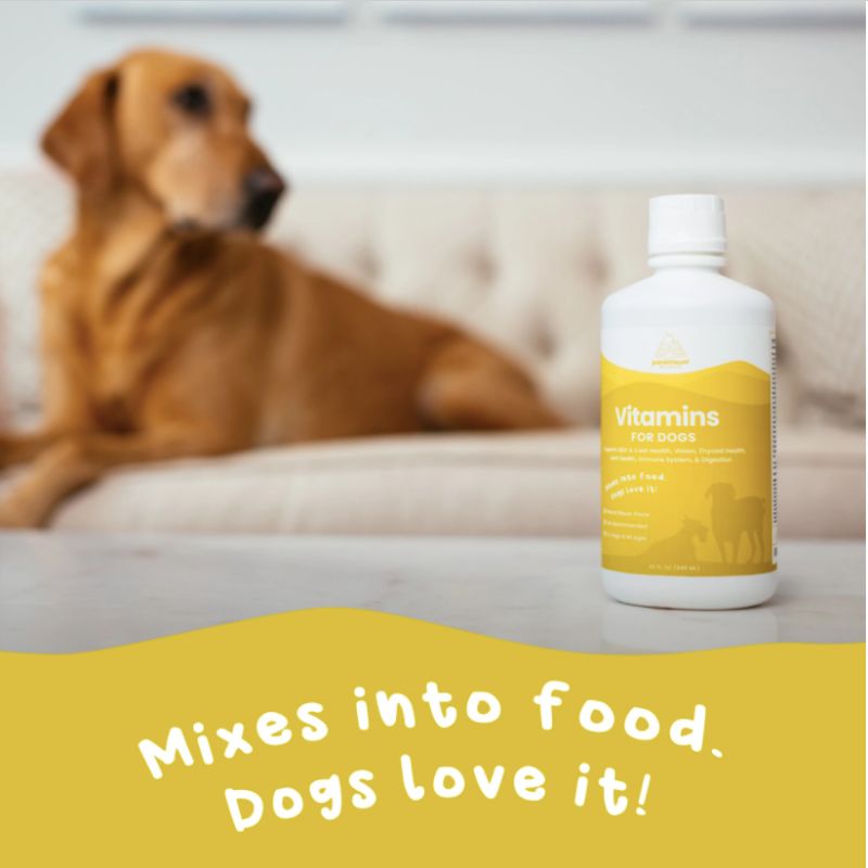 Paramount Pet Health Liquid Vitamins for Dogs with a dog in the background and the saying 'Mixes into food. Dogs love it!'