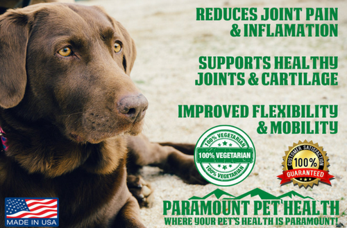 liquid vegetarian glucosamine for dogs reduces joint pain