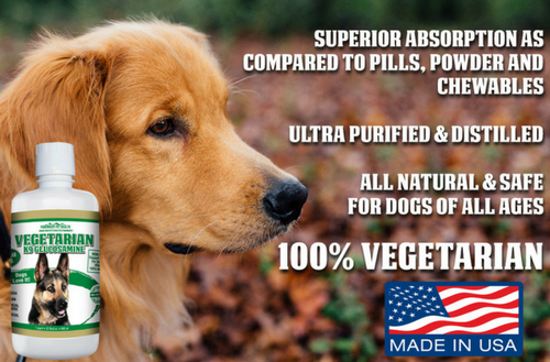premium liquid vegetarian glucosamine for dogs